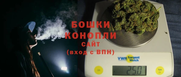 твердый Заводоуковск