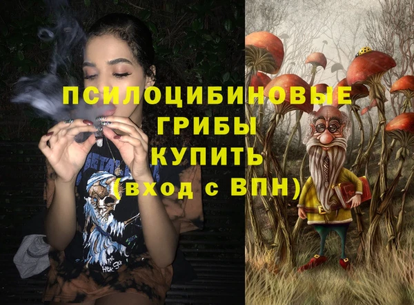 ПСИЛОЦИБИНОВЫЕ ГРИБЫ Нязепетровск