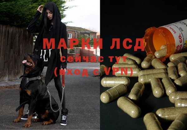 ПСИЛОЦИБИНОВЫЕ ГРИБЫ Нязепетровск