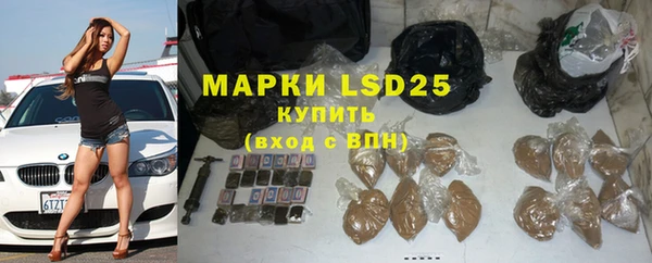 ПСИЛОЦИБИНОВЫЕ ГРИБЫ Нязепетровск