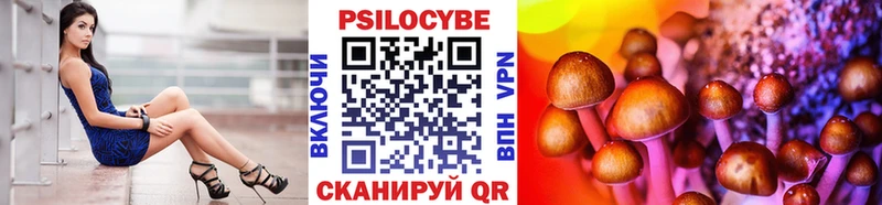 Псилоцибиновые грибы Cubensis  Советск 