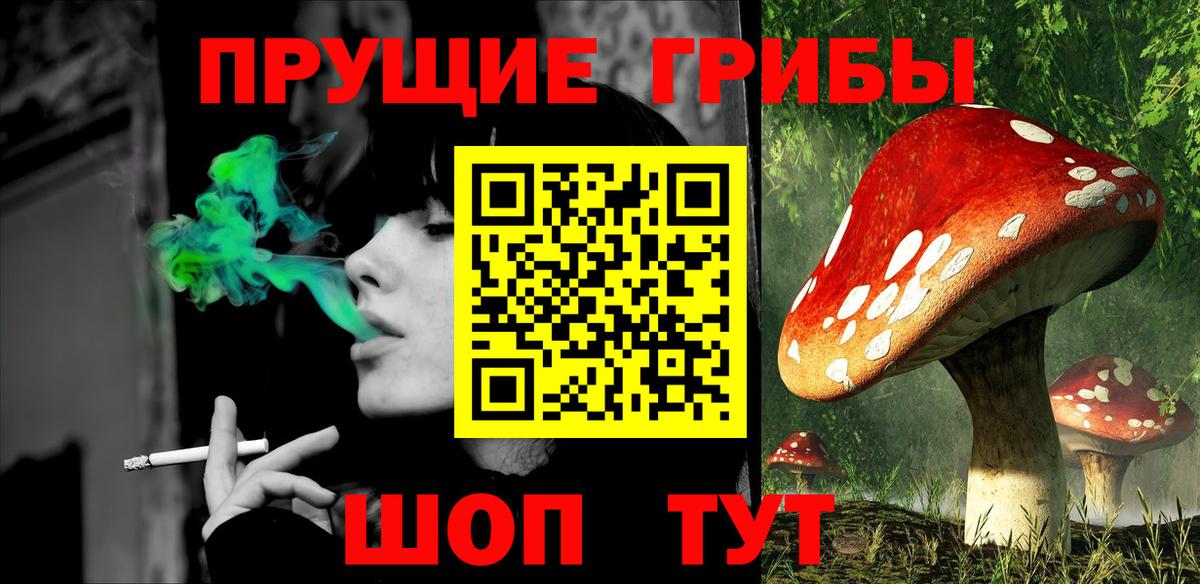 Галлюциногенные грибы Magic Shrooms  Псилоцибиновые грибы ЛСД  Вход с VPN  Советск 