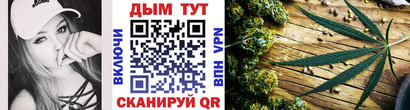 дарк нет какой сайт  Советск  Канабис тримм 